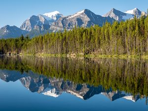 Preview wallpaper forest, mountains, snow, lake, reflection, nature