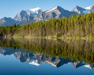 Preview wallpaper forest, mountains, snow, lake, reflection, nature
