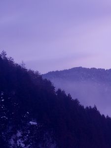 Preview wallpaper forest, mountains, trees, nature, landscape