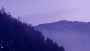 Preview wallpaper forest, mountains, trees, nature, landscape