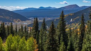 Preview wallpaper forest, mountains, trees, spruce