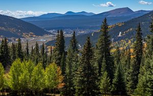 Preview wallpaper forest, mountains, trees, spruce