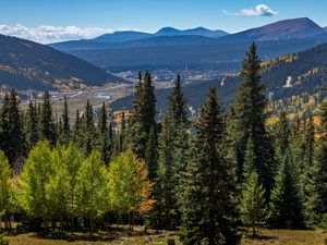 Preview wallpaper forest, mountains, trees, spruce