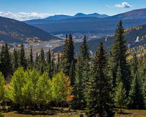 Preview wallpaper forest, mountains, trees, spruce