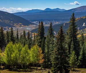 Preview wallpaper forest, mountains, trees, spruce