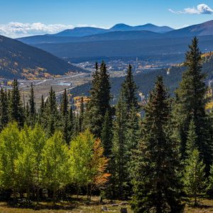 Preview wallpaper forest, mountains, trees, spruce