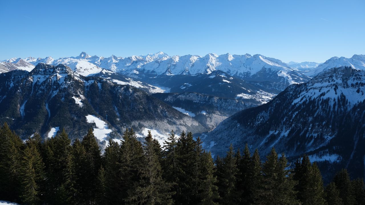 Wallpaper forest, mountains, trees, snow, nature, landscape