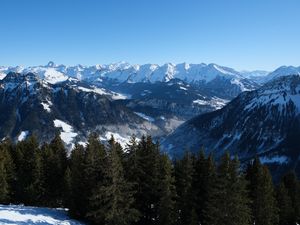 Preview wallpaper forest, mountains, trees, snow, nature, landscape