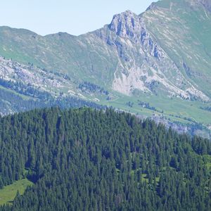 Preview wallpaper forest, mountains, trees, nature