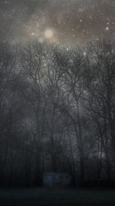 Preview wallpaper forest, mystical, fog, trees, night, starry sky