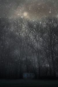 Preview wallpaper forest, mystical, fog, trees, night, starry sky