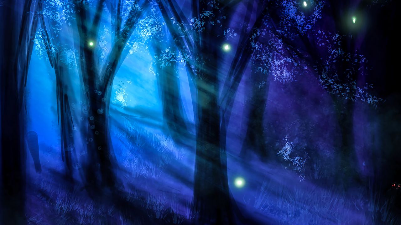 Wallpaper forest, night, art, trees, light