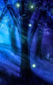 Preview wallpaper forest, night, art, trees, light