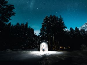 Preview wallpaper forest, night, building, silhouette, flash