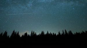 Preview wallpaper forest, night, starry sky, darkness