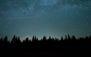 Preview wallpaper forest, night, starry sky, darkness
