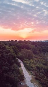 Preview wallpaper forest, path, aerial view, sunset, horizon