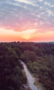 Preview wallpaper forest, path, aerial view, sunset, horizon