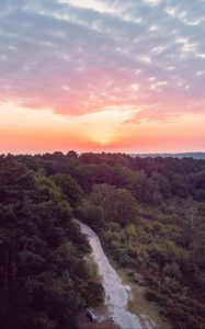 Preview wallpaper forest, path, aerial view, sunset, horizon