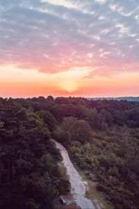 Preview wallpaper forest, path, aerial view, sunset, horizon