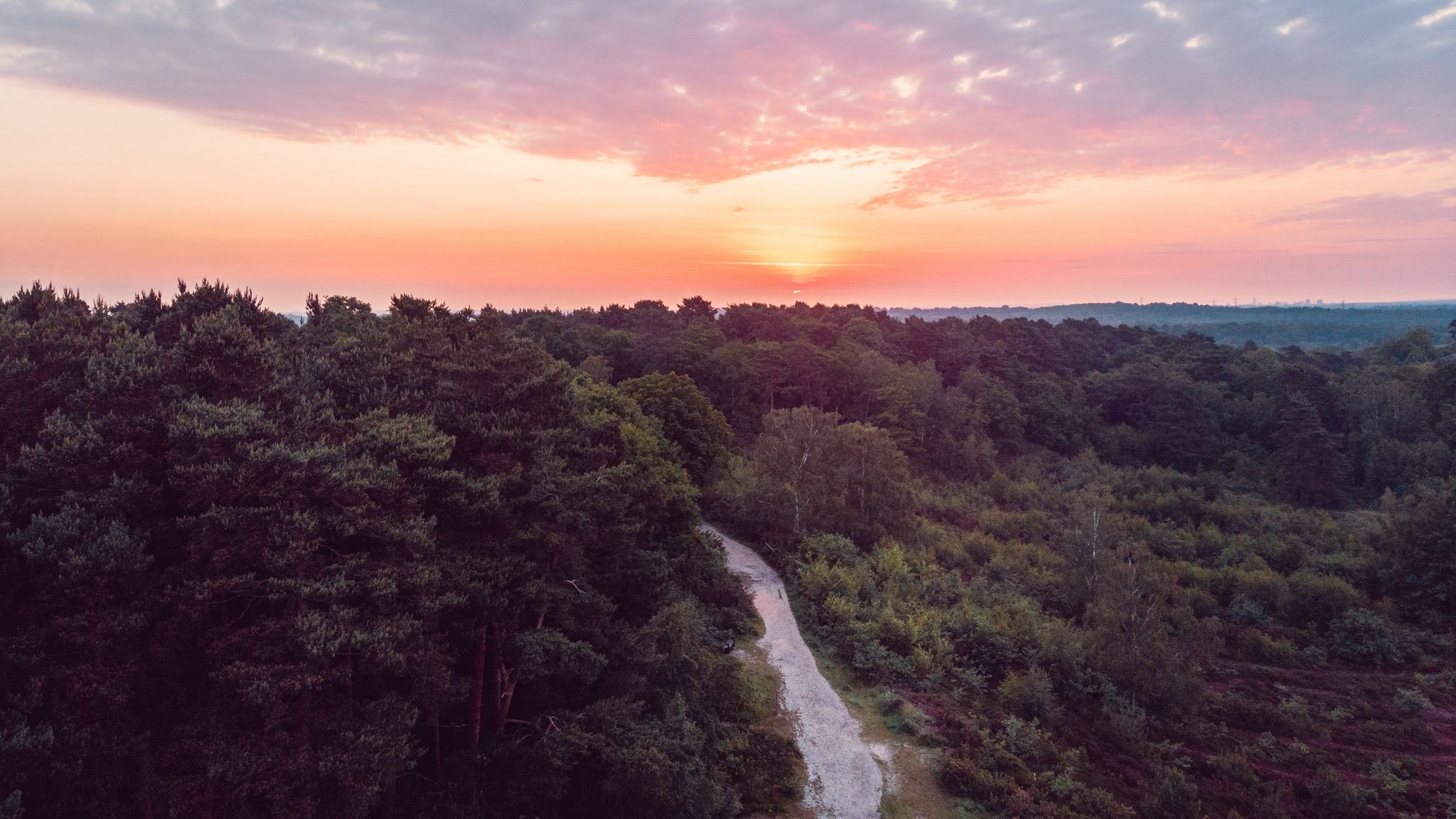 Download wallpaper 2048x1152 forest, path, aerial view, sunset, horizon