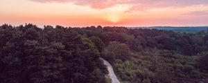 Preview wallpaper forest, path, aerial view, sunset, horizon