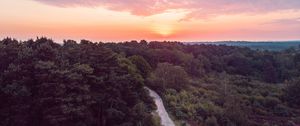 Preview wallpaper forest, path, aerial view, sunset, horizon