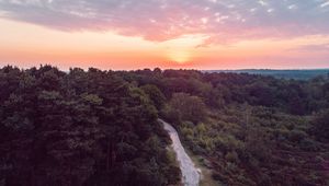 Preview wallpaper forest, path, aerial view, sunset, horizon