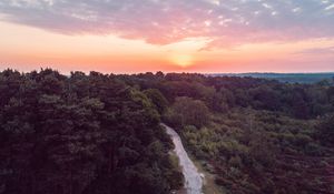 Preview wallpaper forest, path, aerial view, sunset, horizon