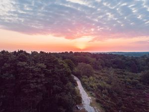 Preview wallpaper forest, path, aerial view, sunset, horizon