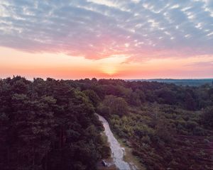 Preview wallpaper forest, path, aerial view, sunset, horizon