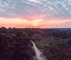Preview wallpaper forest, path, aerial view, sunset, horizon