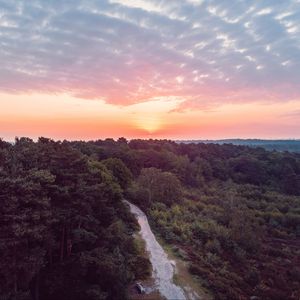 Preview wallpaper forest, path, aerial view, sunset, horizon