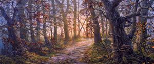 Preview wallpaper forest, path, autumn, landscape, art