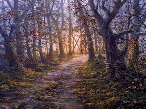 Preview wallpaper forest, path, autumn, landscape, art