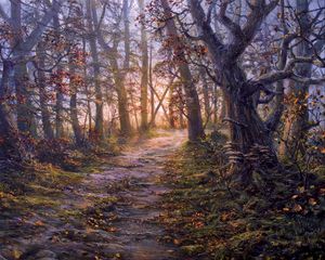 Preview wallpaper forest, path, autumn, landscape, art