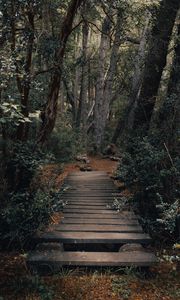 Preview wallpaper forest, path, bridge, trees, nature