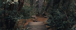 Preview wallpaper forest, path, bridge, trees, nature