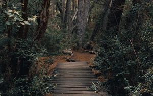 Preview wallpaper forest, path, bridge, trees, nature