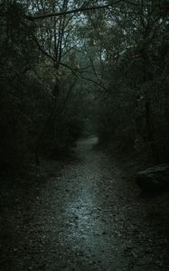 Preview wallpaper forest, path, dark, gloomy, nature