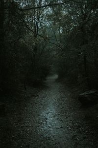 Preview wallpaper forest, path, dark, gloomy, nature