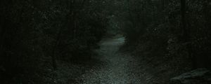 Preview wallpaper forest, path, dark, gloomy, nature