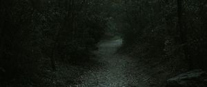 Preview wallpaper forest, path, dark, gloomy, nature