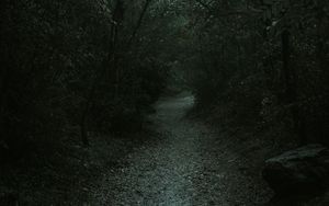 Preview wallpaper forest, path, dark, gloomy, nature