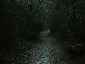 Preview wallpaper forest, path, dark, gloomy, nature