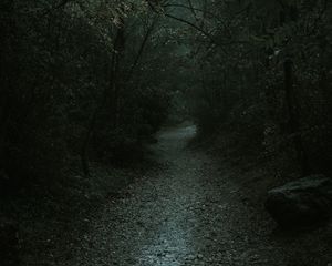 Preview wallpaper forest, path, dark, gloomy, nature