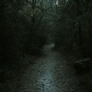 Preview wallpaper forest, path, dark, gloomy, nature