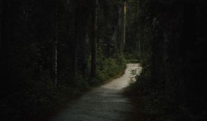 Preview wallpaper forest, path, dark, trees