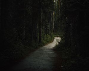 Preview wallpaper forest, path, dark, trees