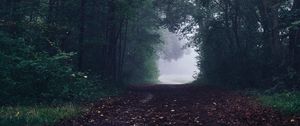 Preview wallpaper forest, path, fog, trees, gloomy